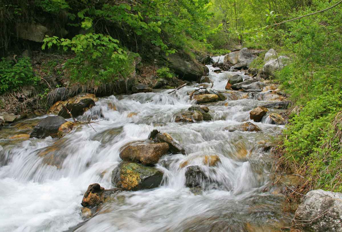 Wildbach im Frühjahr