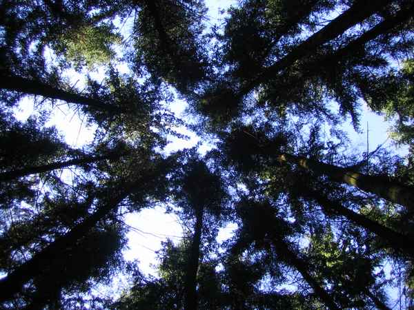 ..dem Licht entgegen ...