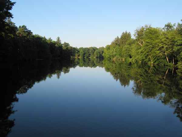See im Rotwildpark Stuttgart