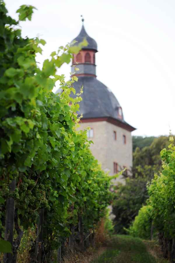 Weinberg