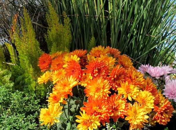 Herbst-Arrangement