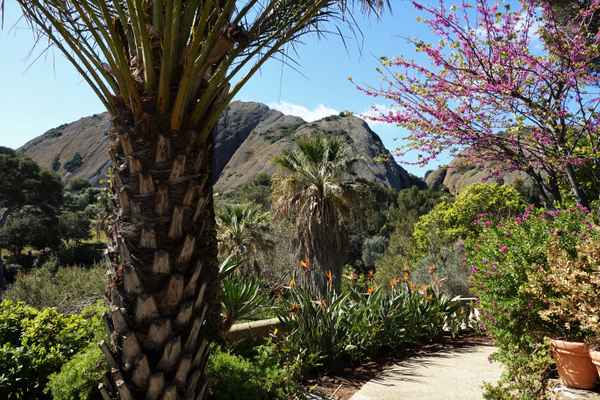 Botanischer Garten