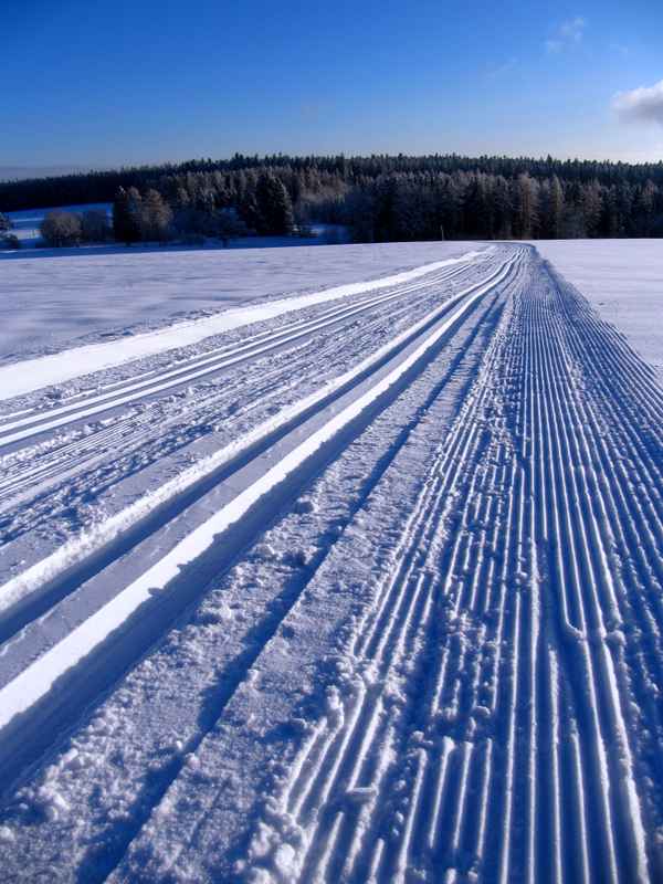 Langlauf ist die beste Medizin
