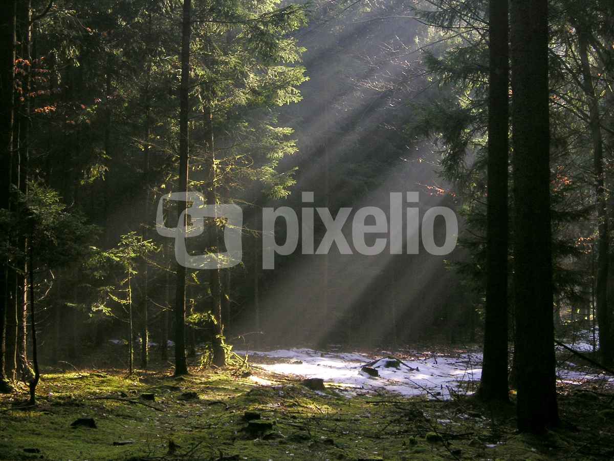 Lichtblick