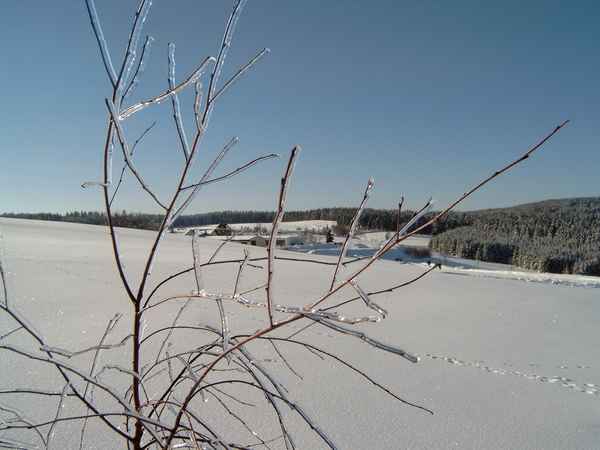 Winterlandschaft