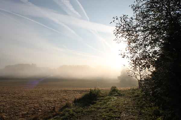 Morgens früh um 7 Uhr
