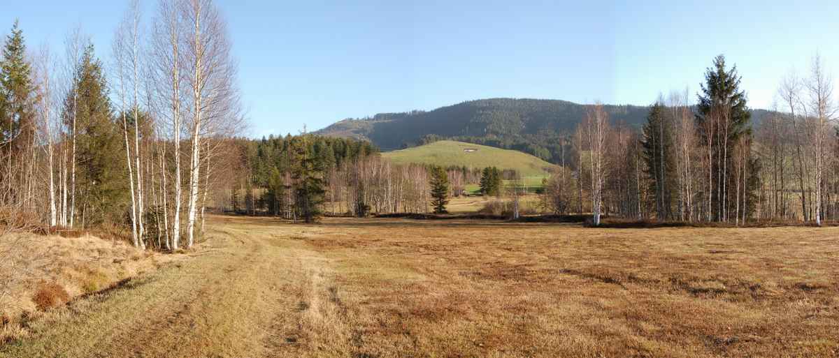Hochmoorlandschaft