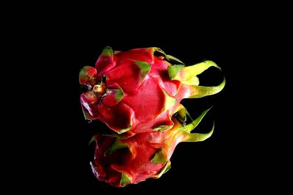 Pitahaya 15