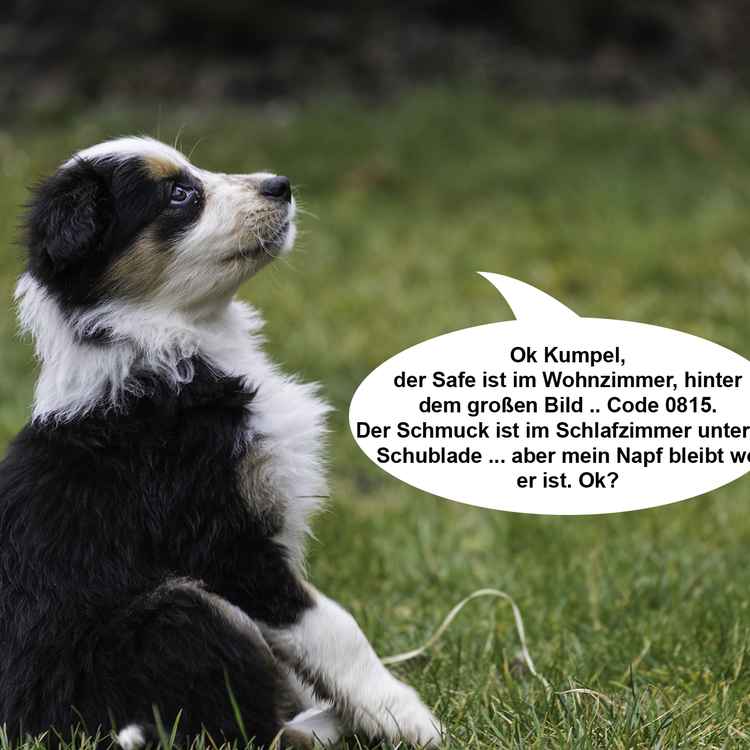 Hier wache ich