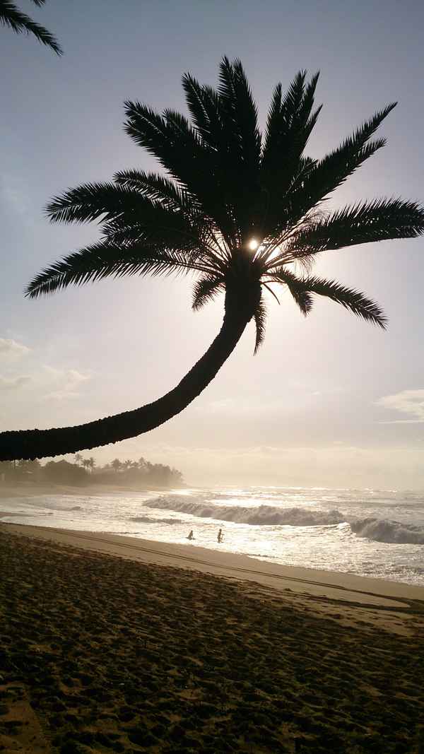 Strand im Gegenlicht