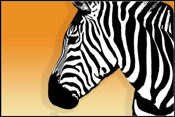Pop-Art Zebra