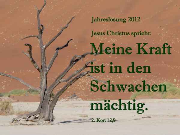 Jahreslosung 2012 (8b)