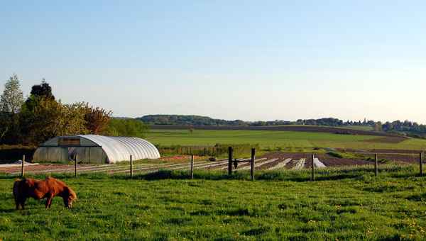 Ländliche Impression aus Essen (Ruhr) #2