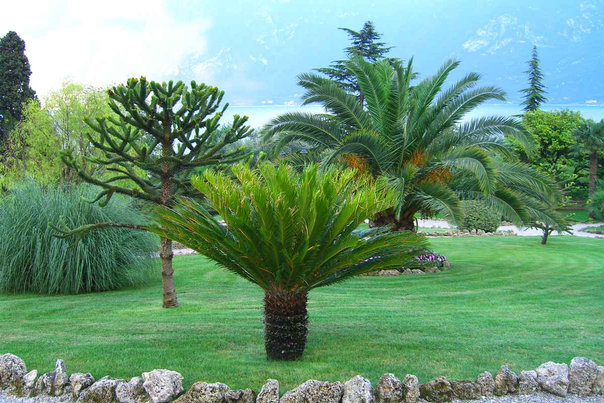 Stadtpark von Limone (Gardasee)