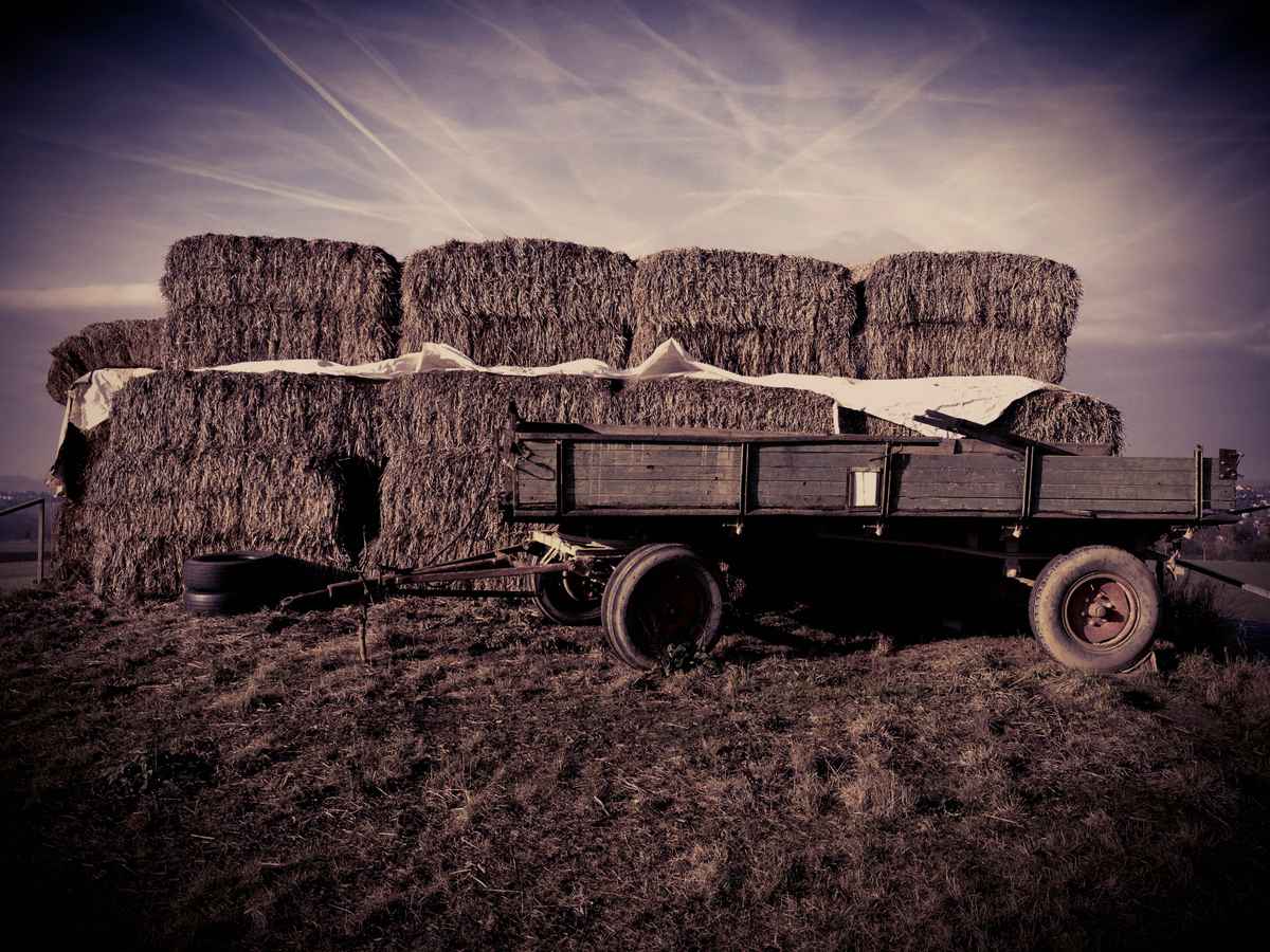 Heuwagen