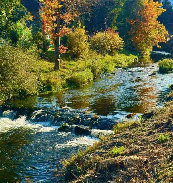 Herbstlicher Forbach in Baiersbronn