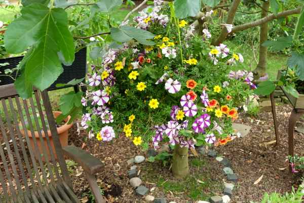 Im Garten
