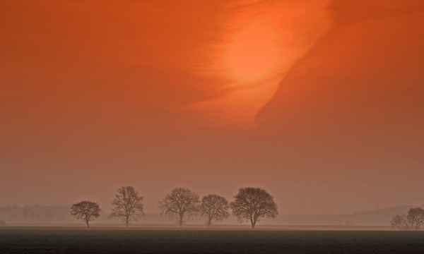 morning has broken4