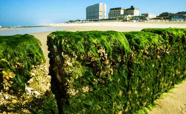 Am Strand von Westerland