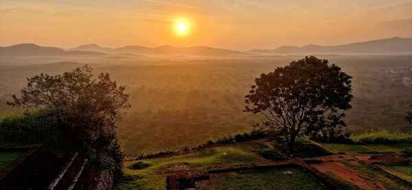 aufgehende Sonne auf dem L&ouml;wenfelsen (Sigiriya) in Sri Lanka