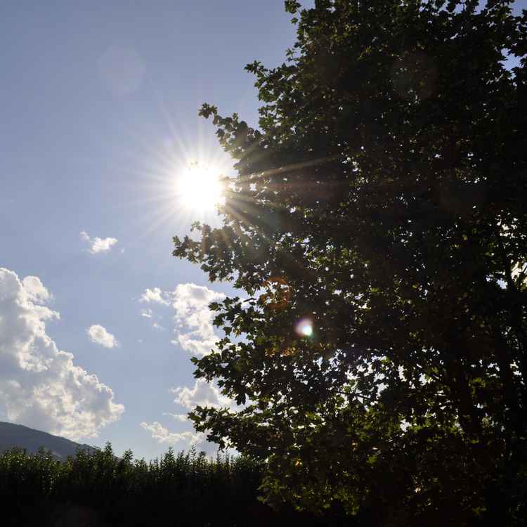 Sonnentag