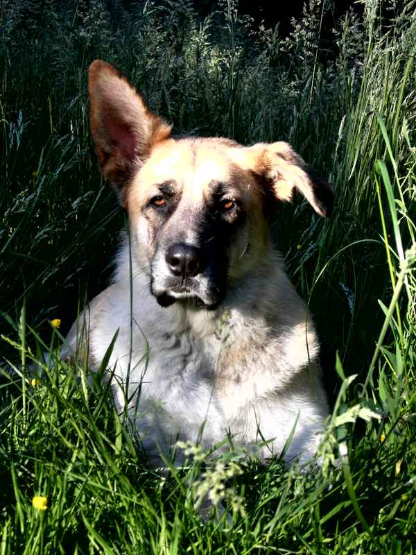 Marsha in der Sonne