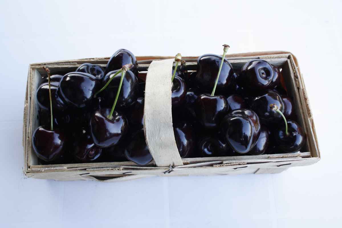 schwarze Süsskirschen #1