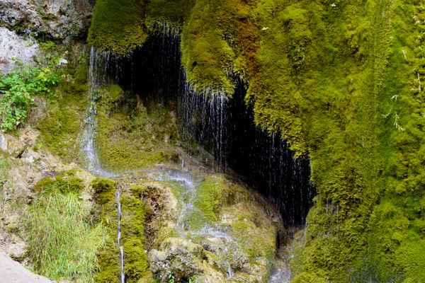 Naturdenkmal Dreimühlen-Waserfall bei Nohn (Vulkaneifel) #3
