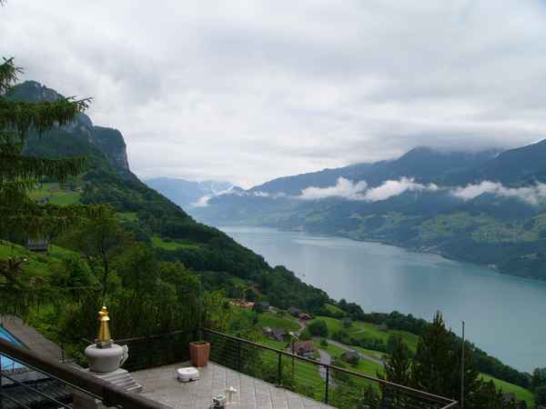 pure view