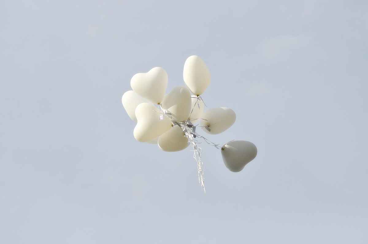 Lasst die Herzen fliegen