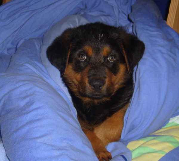 Ich mag noch nicht aufstehen