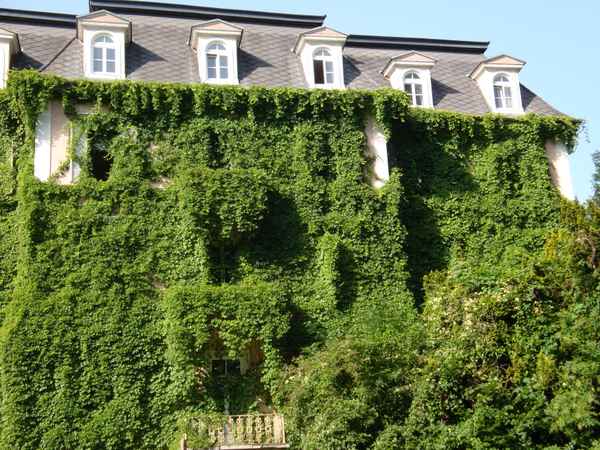 Alte Villa