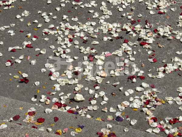 Hochzeit