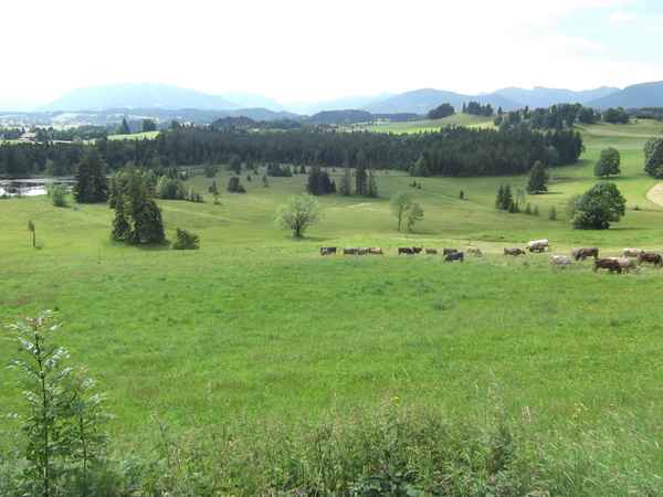 Landschaft Natur