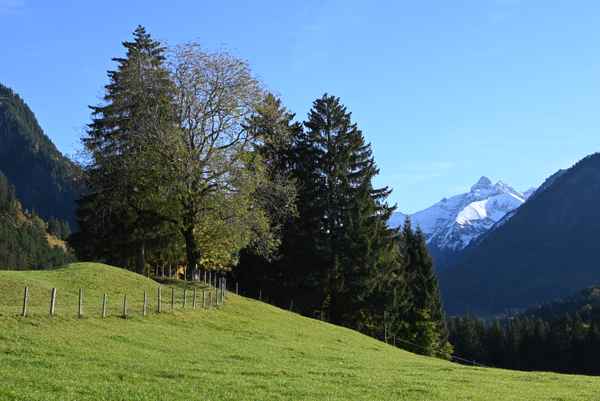 Allgäuer Herbstimpressionen