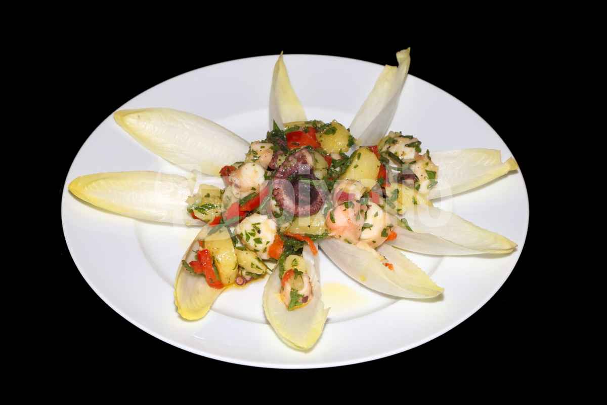 Pulpo 1