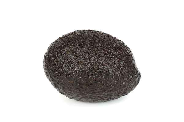 Avocado 9