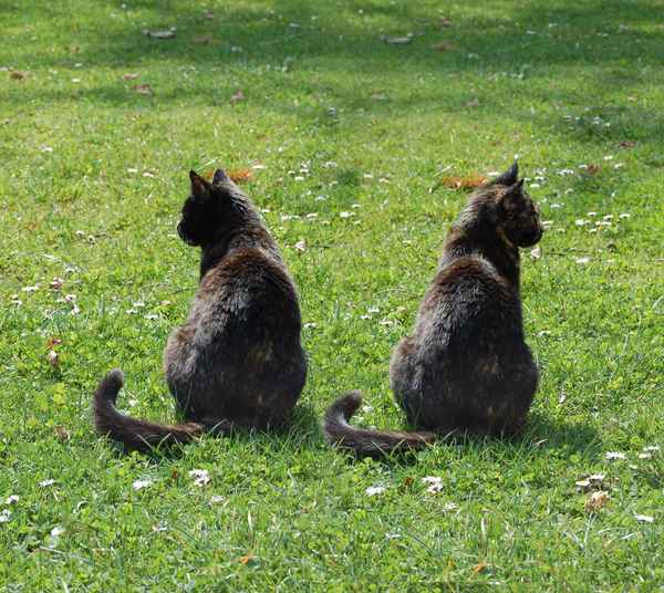 links oder rechts?!
