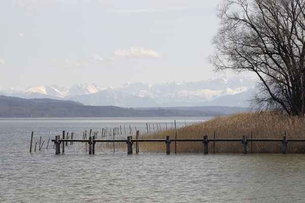 Vorfrühling am See