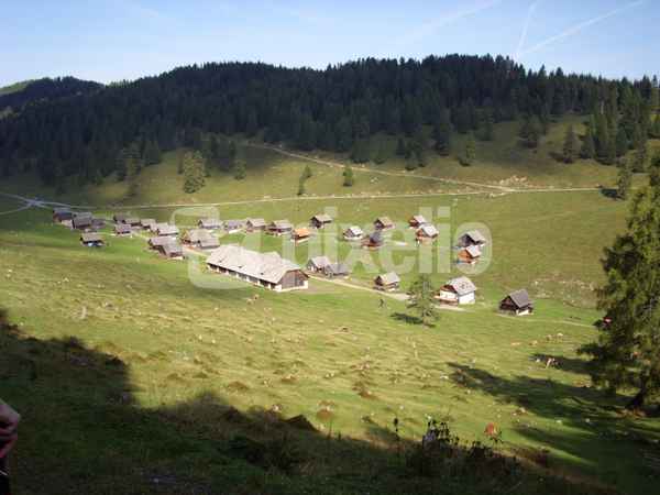 Dellacher Alm