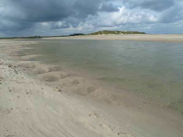 Priel (2)