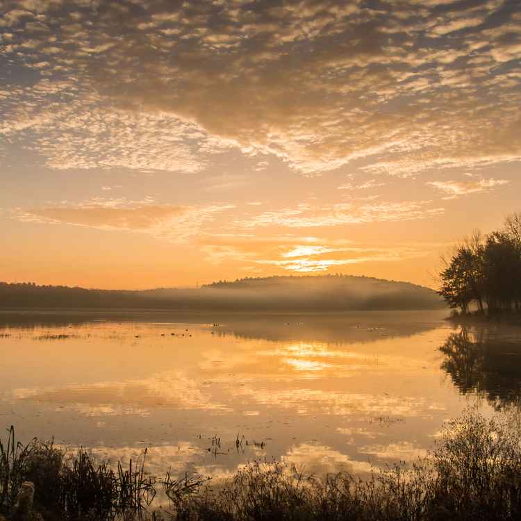 Novembermorgen