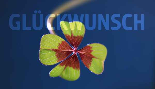Glücksklee-Glückwunsch