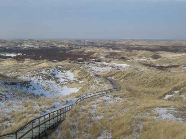 Winterdünenlandschaft