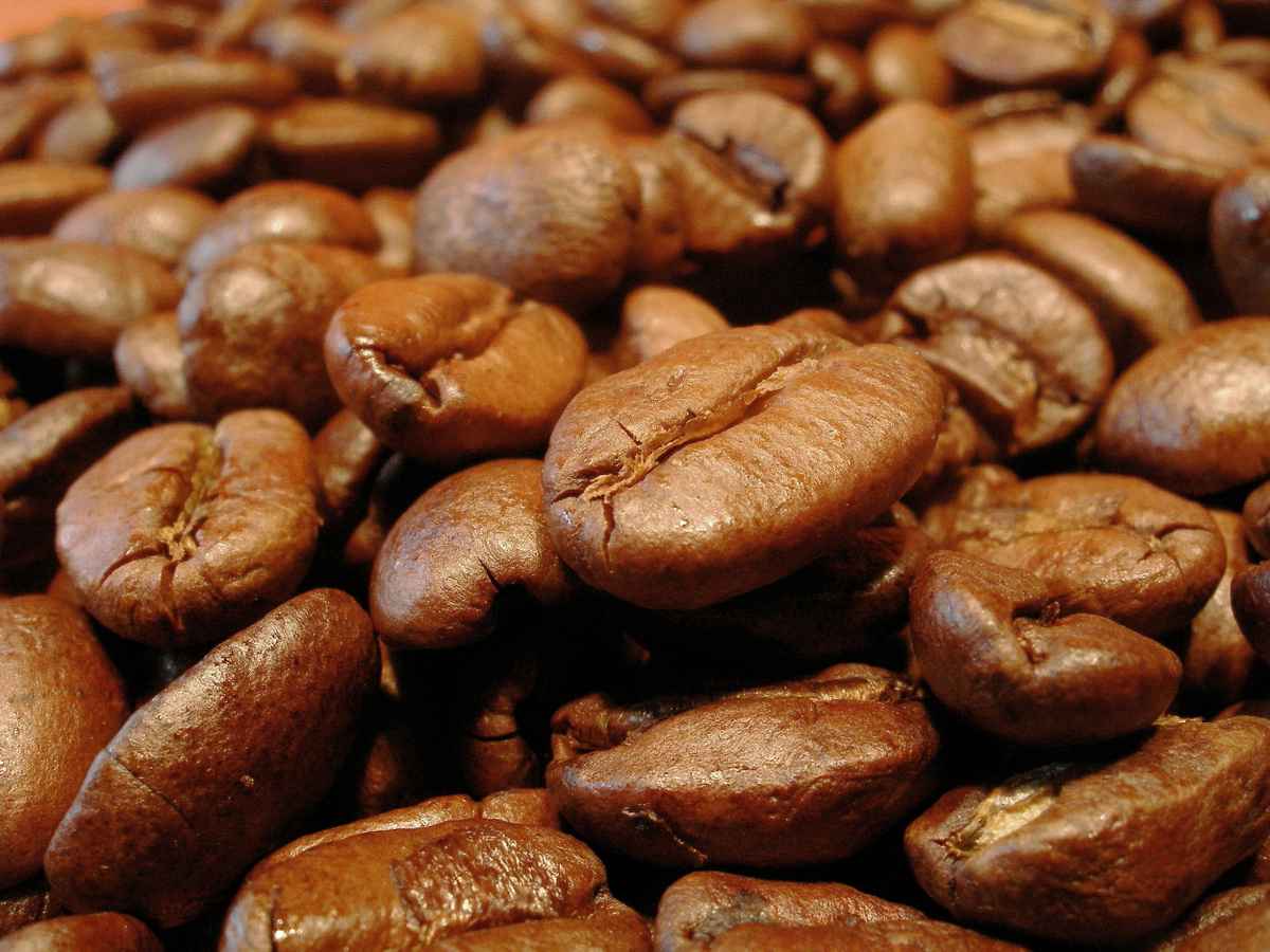 Kaffeebohnen
