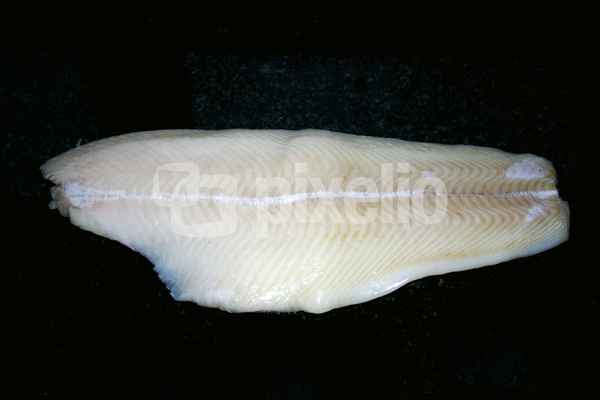 Heilbutt Filet