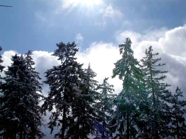 Sonnenlicht