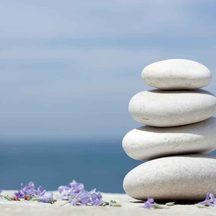 Weiße Kieselsteine mit Rosmarinblüten