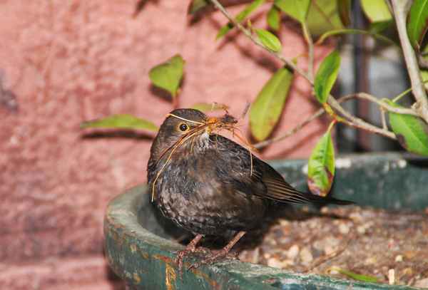 Im Frühjahr wird gebaut
