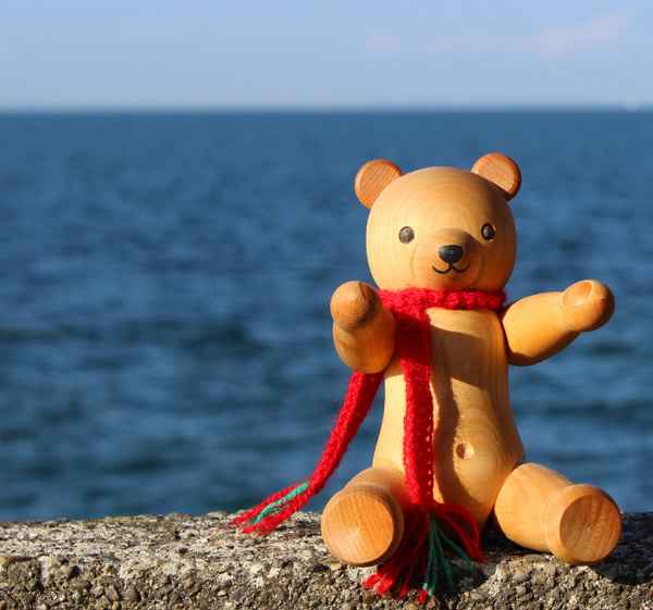 BÄR AM BODENSEE I